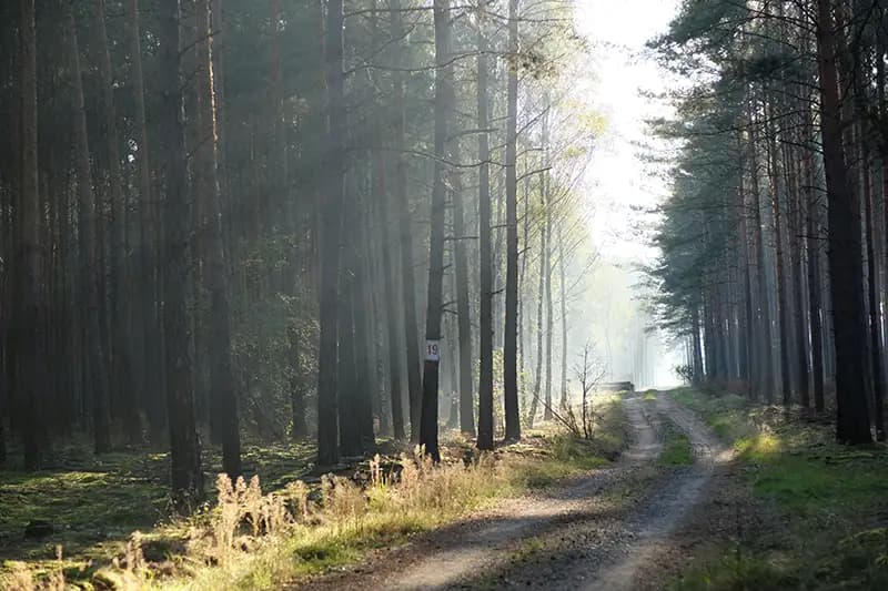 Heart of Dakota (HOD)